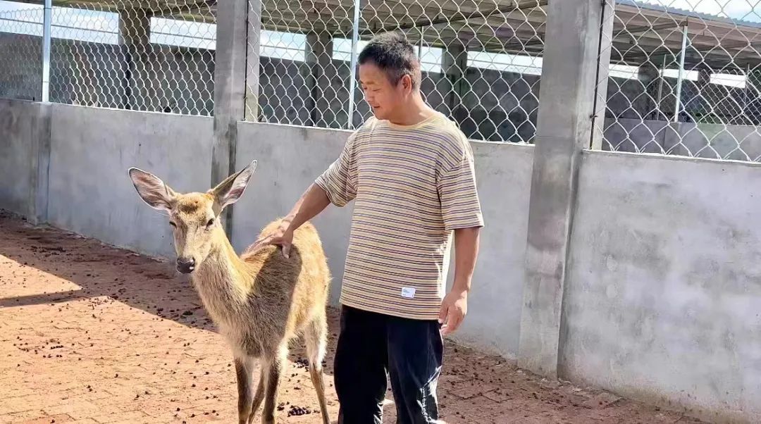 大丰收网站